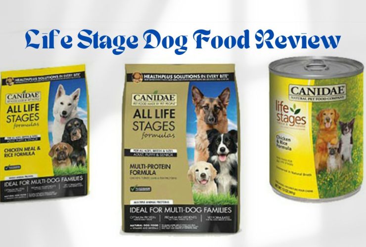Life Stage Dog Food Review