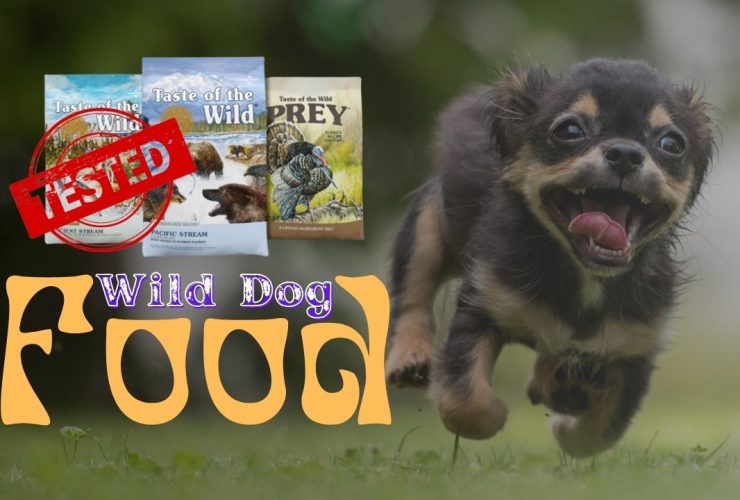Wild Dog Food Reviews 2023