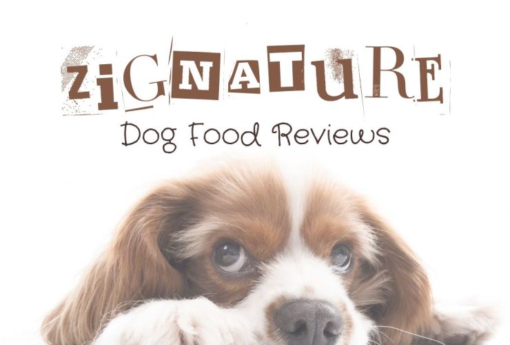 Zignature Dog Food Reviews
