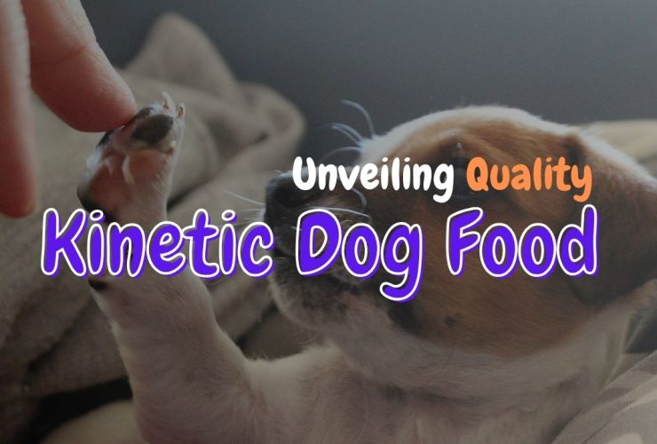 Kinetic Dog Food reviews