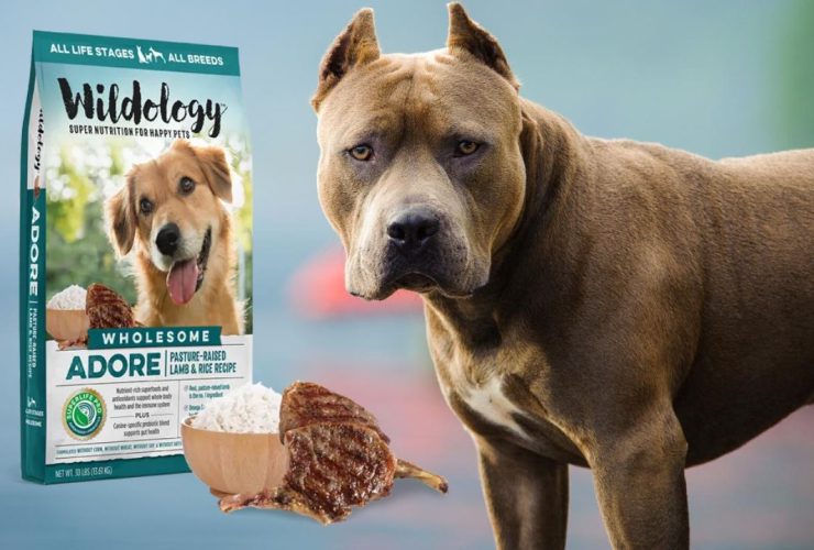 Homemade Dog Food for Pitbulls