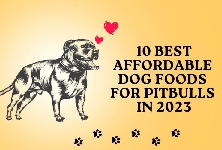 10 best affordable dog foods for pitbulls