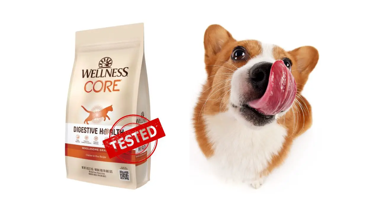 Wellness core digestive health dog food