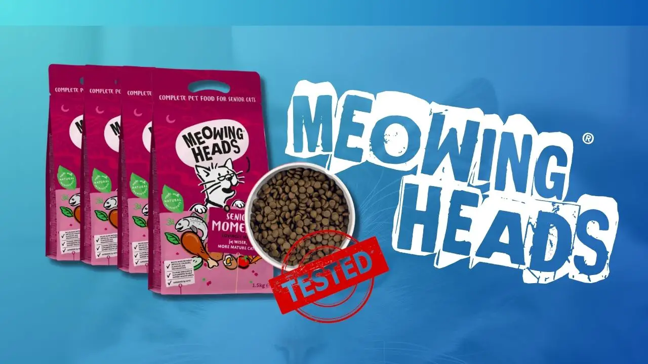 Meowing Heads Cat Food