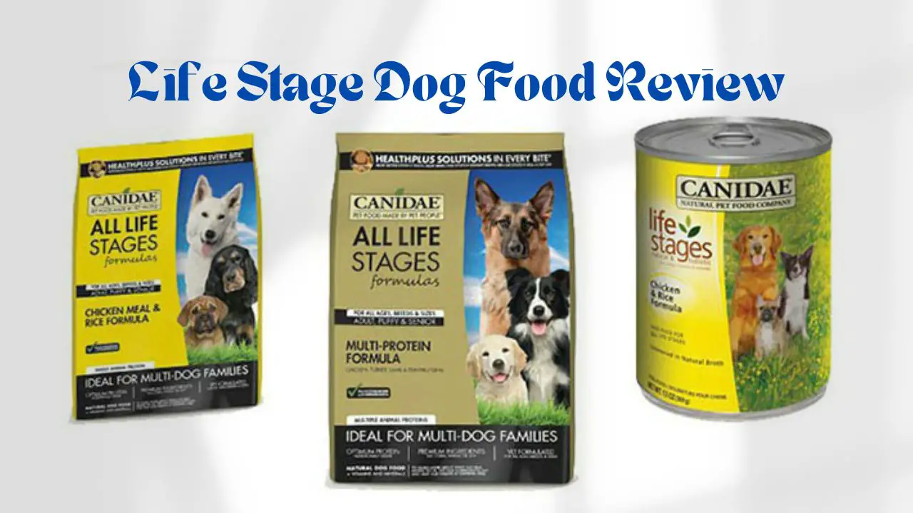 Life Stage Dog Food Review