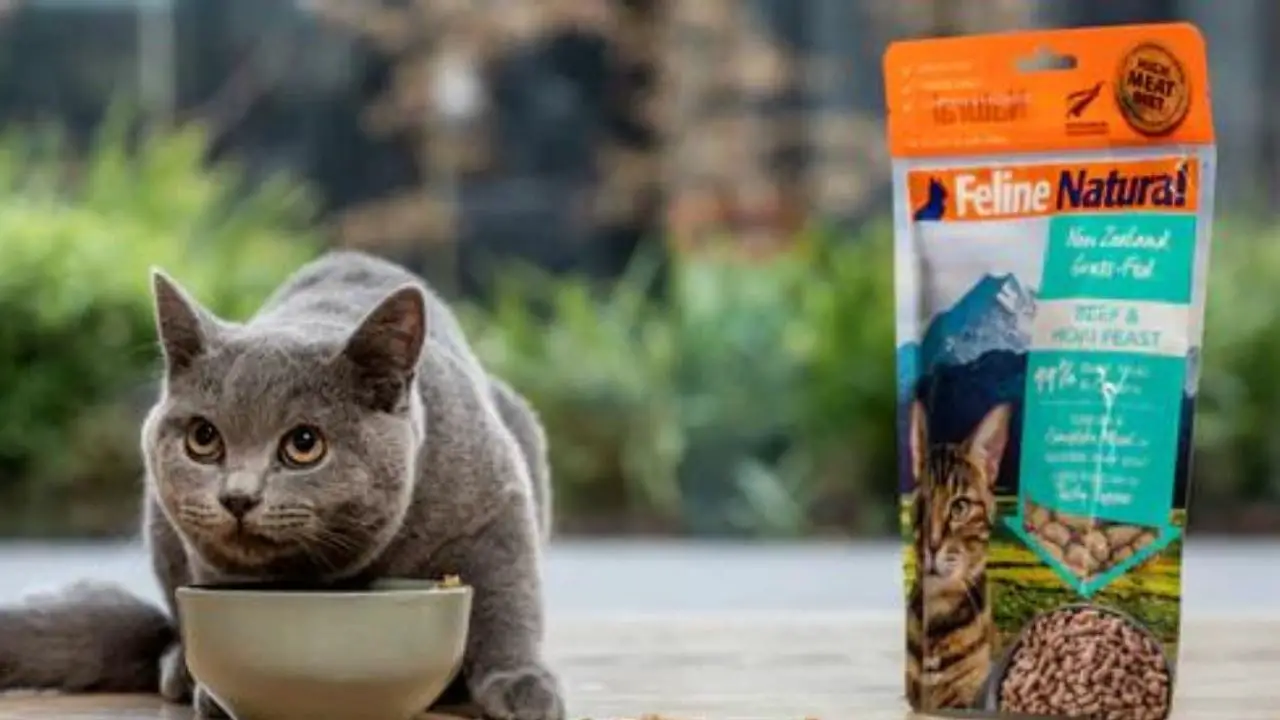 Feline Natural Cat Food