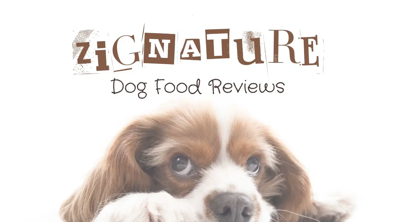Zignature Dog Food Reviews