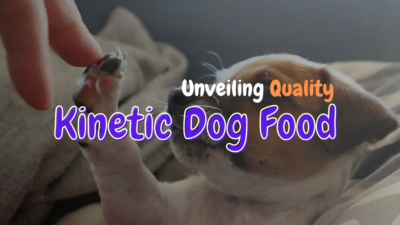 Kinetic Dog Food reviews