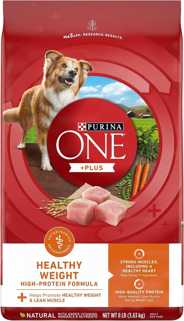 Purina one dog food