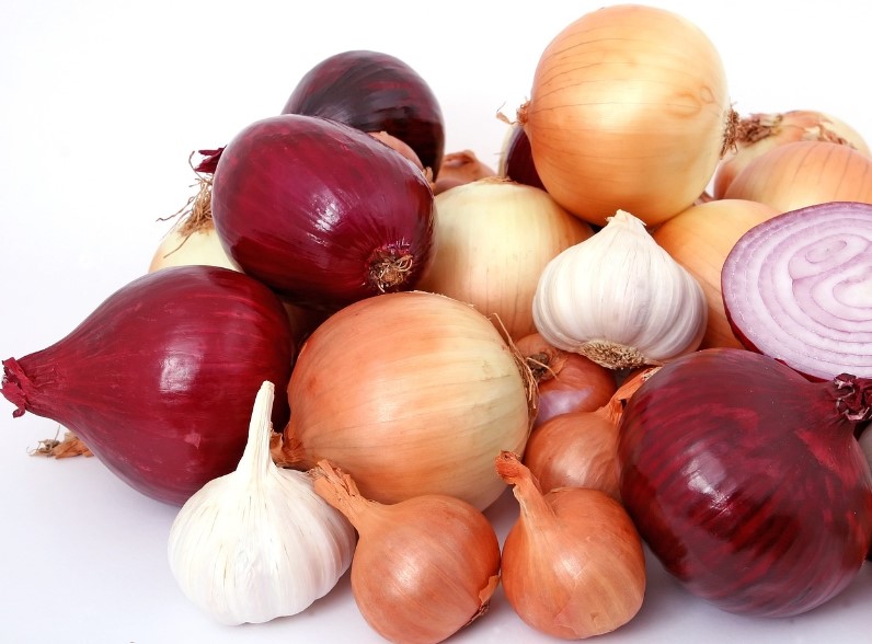 Onion and garlic Dangerous Food for Pregnant Dogs