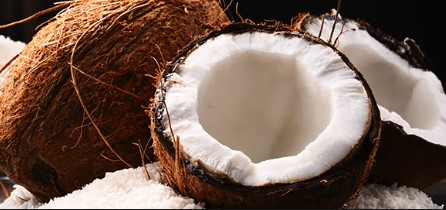  Coconut healthiest human food for dogs