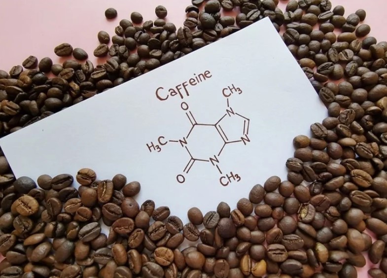 Caffeine Dangerous Food for Pregnant Dogs