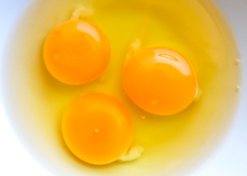 Eggs - healthiest human food for dogs