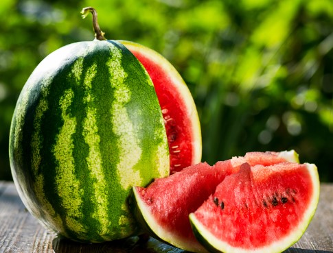 Watermelon healthiest human food for dogs