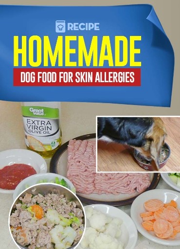 Homemade Recipes Dog Food For Skin Allergies
