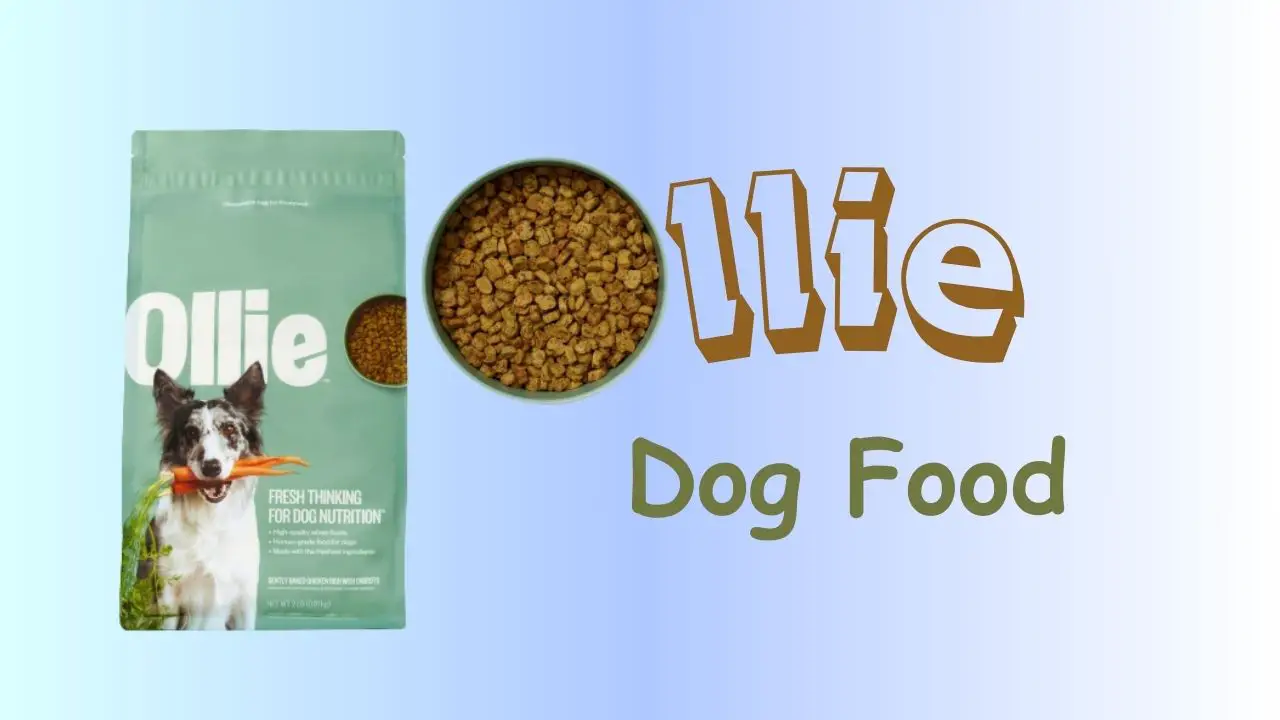 Ollie Dog Food: The Ultimate Choice for Healthy Pups