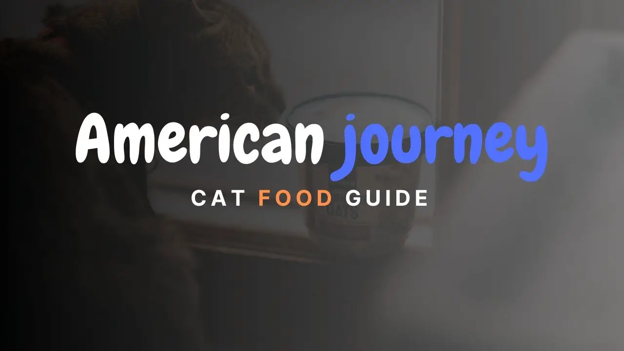 American journey cat food Guide
