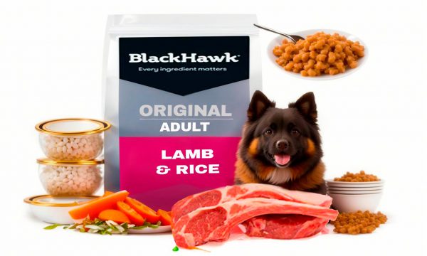 Black Hawk Original Lamb And Rice