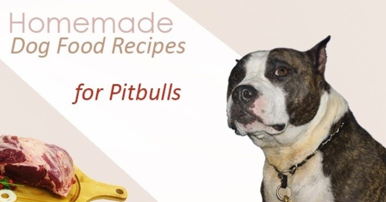 dog food for pitbulls