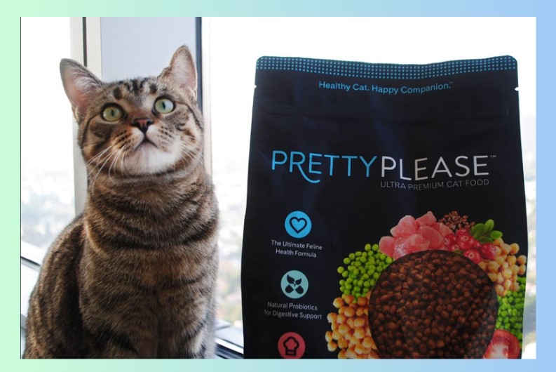 pretty please cat food