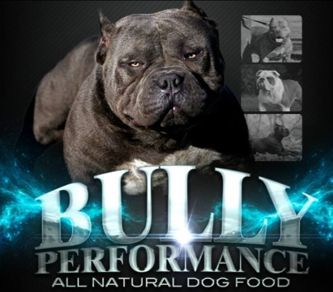 bully performance dog food