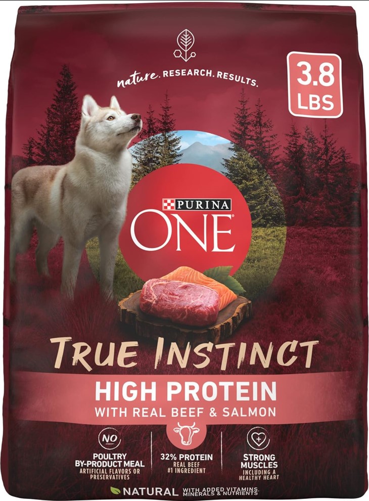 Purina One Salmon Dog Food