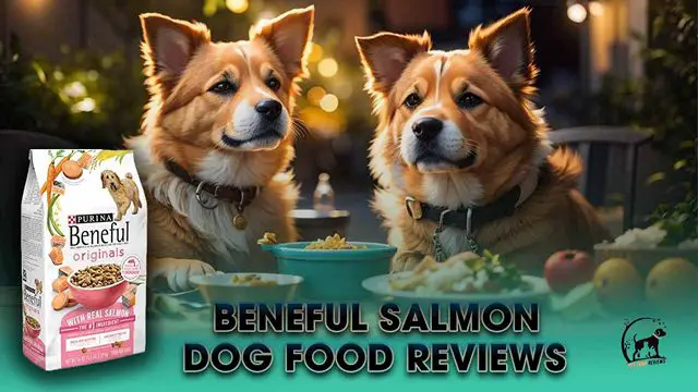 Beneful Salmon Dog Food
