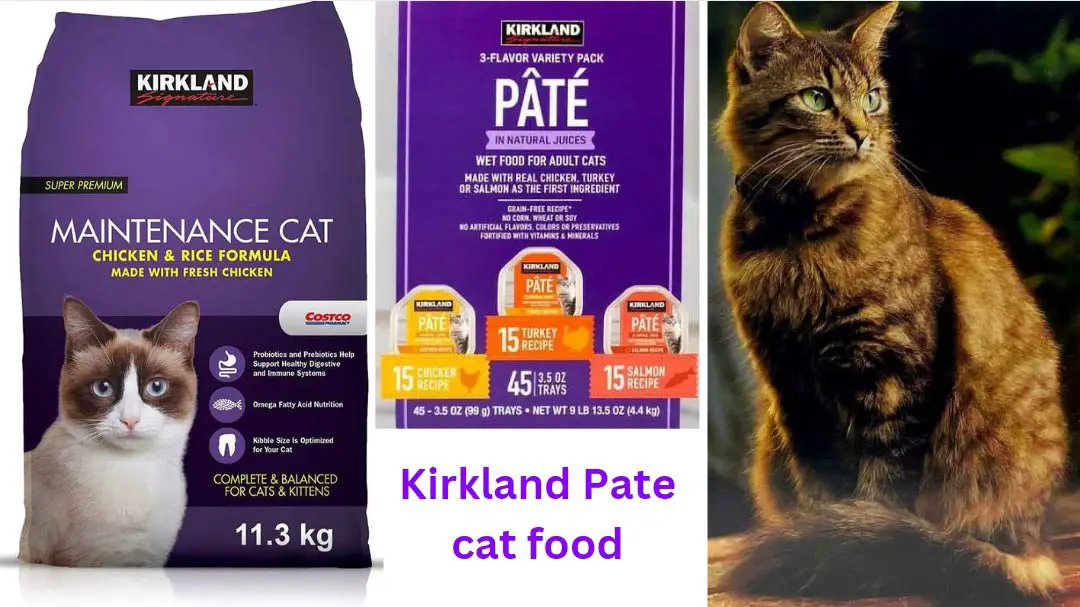 kirkland pate cat food