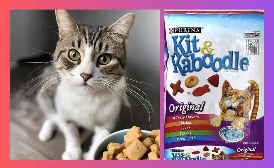 Kitten Kaboodle Cat Food