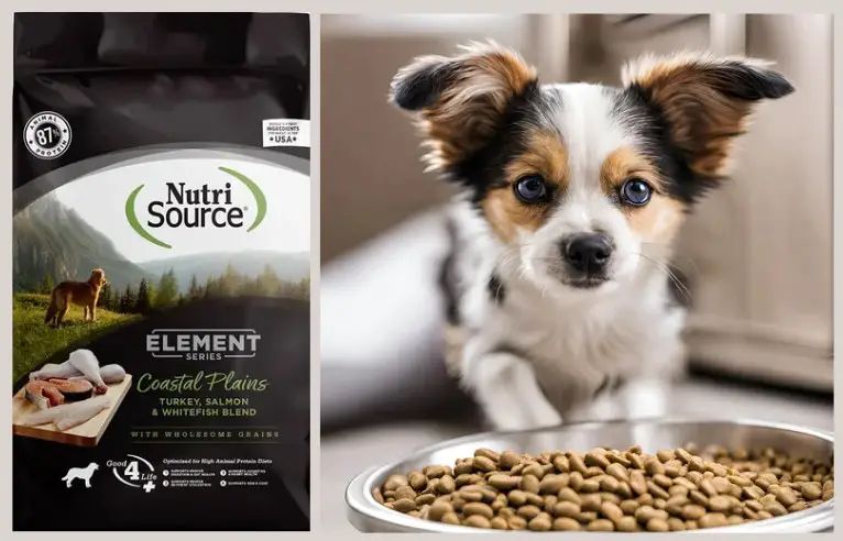 NutriSource Element Series Plains Dry Dog Food