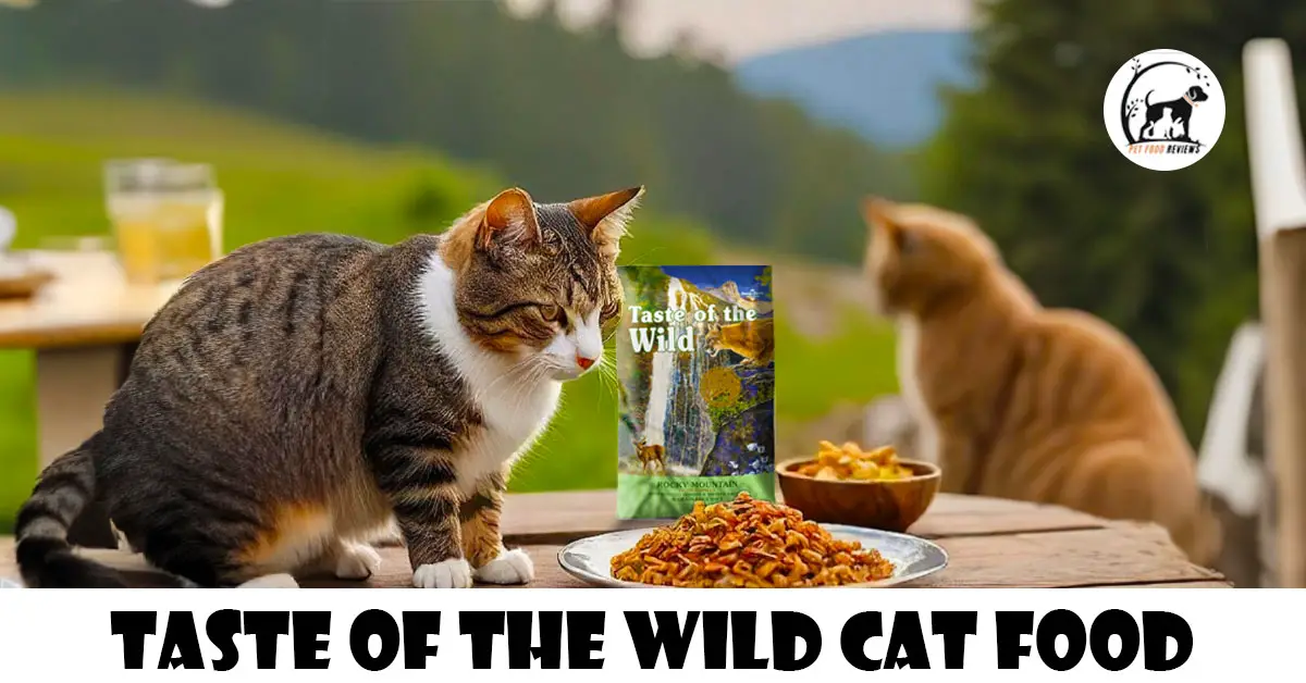 Taste of the Wild Cat Food